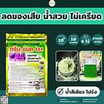 กรีน888